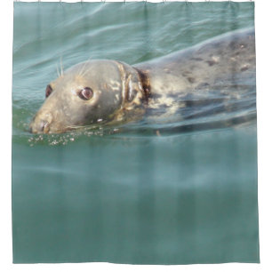 Cute Curious Seal die naar je kijkt: Shower Curtai Douchegordijn