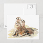 Cute Curious Seals, Waterverf Animals Briefkaart (Voorkant / Achterkant)