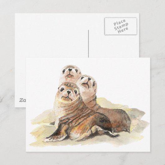 Cute Curious Seals, Waterverf Animals Briefkaart (Voorkant / Achterkant)