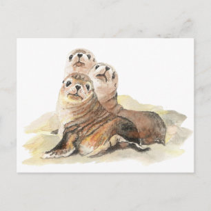Cute Curious Seals, Waterverf Animals Briefkaart