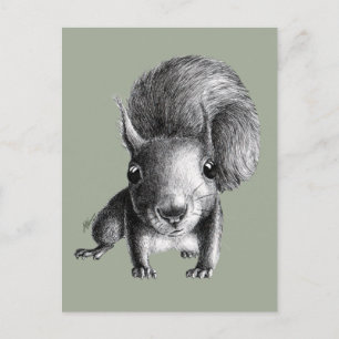 Cute Curious Squirrel Briefkaart