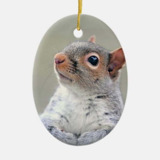 Cute Curious Squirrel Foto Keramisch Ornament (Voorkant)