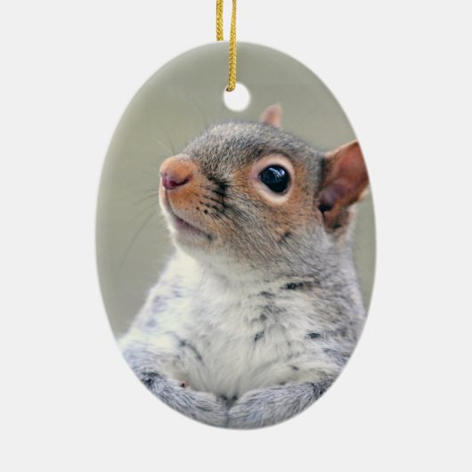 Cute Curious Squirrel Foto Keramisch Ornament (Achterkant)