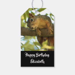 Cute & Curious Squirrel Natuur Foto: Birthday Cadeaulabel