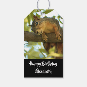 Cute & Curious Squirrel Natuur Foto: Birthday Cadeaulabel