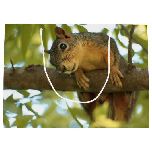 Cute & Curious Squirrel Natuur Foto: Birthday Groot Cadeauzakje (Achterkant)