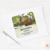 Cute & Curious Squirrel Natuur Foto - Business Vierkante Sticker (Envelop)