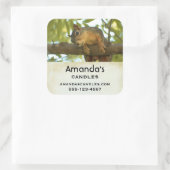 Cute & Curious Squirrel Natuur Foto - Business Vierkante Sticker (Tas)