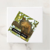 Cute & Curious Squirrel Natuur Foto - Hartelijk da Bedankjes Labels (In situ)