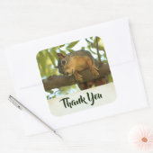 Cute & Curious Squirrel Natuur Foto - Hartelijk da Vierkante Sticker (Envelop)