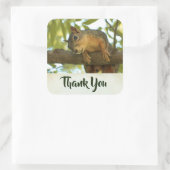 Cute & Curious Squirrel Natuur Foto - Hartelijk da Vierkante Sticker (Tas)
