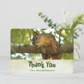 Cute Curious Squirrel Natuur Fotografie Bedankt (Staand voorkant)