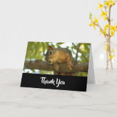 Cute Curious Squirrel Natuur Fotografie Bedankt Kaart (Gele Bloem)