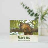 Cute Curious Squirrel Natuur Fotografie Briefkaart (Staand voorkant)