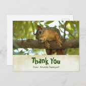 Cute Curious Squirrel Natuur Fotografie Briefkaart (Voorkant / Achterkant)