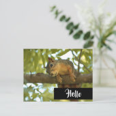 Cute & Curious Squirrel Natuur Fotografie Hallo Briefkaart (Staand voorkant)
