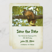 Cute Curious Squirrel Natuur Fotografie Save The Date (Voorkant / Achterkant)