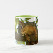 Cute Curious Squirrel Natuur Fotografie Tweekleurige Koffiemok (Center)