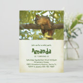 Cute Curious Squirrel Natuur Fotografie van zaterd Kaart (Staand voorkant)