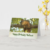 Cute Curious Squirrel Natuur Fotografie van zaterd Kaart (Gele Bloem)