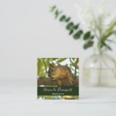 Cute Curious Squirrel Natuur Fotografie Vierkante Visitekaartje (Staand voorkant)