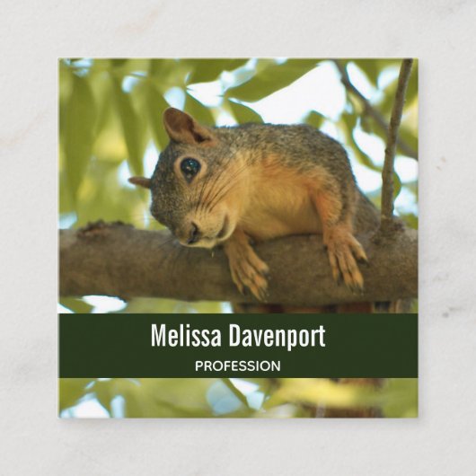 Cute Curious Squirrel Natuur Fotografie Vierkante Visitekaartje (Voorkant)