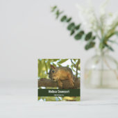 Cute Curious Squirrel Natuur Fotografie Vierkante Visitekaartje (Staand voorkant)