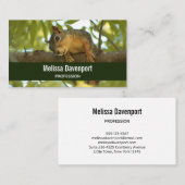 Cute Curious Squirrel Natuur Fotografie Visitekaartje (Voorkant / Achterkant)