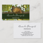 Cute Curious Squirrel Natuur Fotografie Visitekaartje (Voorkant / Achterkant)