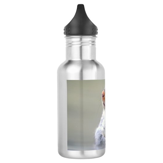 Cute Curious Squirrel Profile Photo Waterfles (Links)