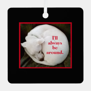Cute Cursus White Puppy Dog Valentijnsdag Red Metalen Ornament