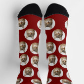 Cute Custom Cat Photo Socks Sokken (Top)