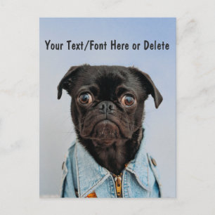 Cute Custom Color/Text Black Pug Dog w Denim Shirt Briefkaart