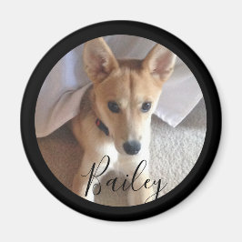 Cute Custom Dog Pet Photo Name Magneet