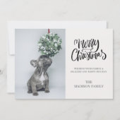 Cute Custom Dog Photo Mistletoe Merry Kerstmis Feestdagenkaart (Voorkant)