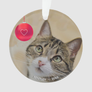 Cute custom tabby cat met kerstbal foto ornament