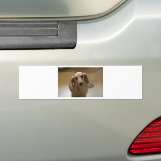 Cute dachschund dog bumpersticker (Op auto)