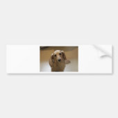 Cute dachschund dog bumpersticker (Voorkant)