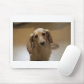 Cute dachschund dog muismat (Met muis)