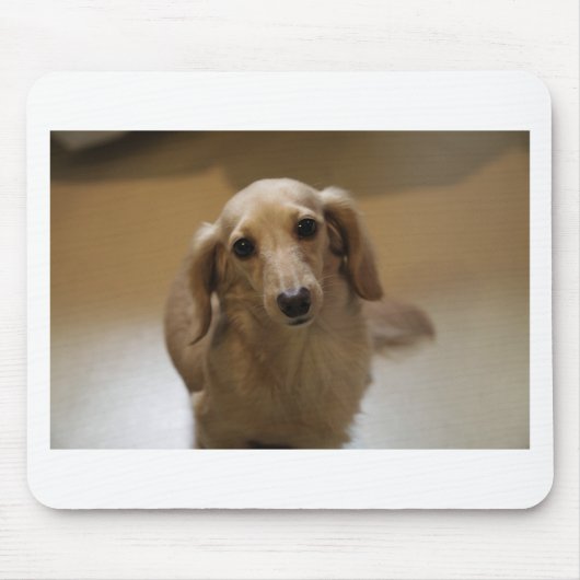 Cute dachschund dog muismat (Voorkant)