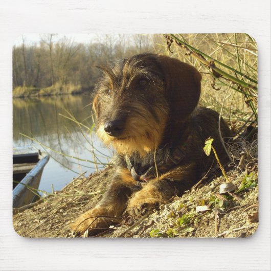 Cute Dachshund bij het meer Muismat (Voorkant)
