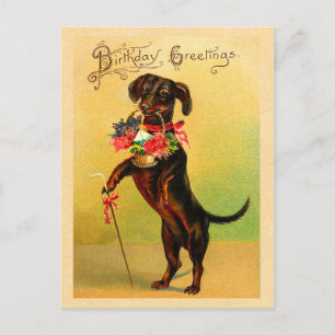 Cute Dachshund Birthday Briefkaart
