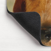 Cute Dachshund (bruindraad in Daffodils) Muismat (Hoek)