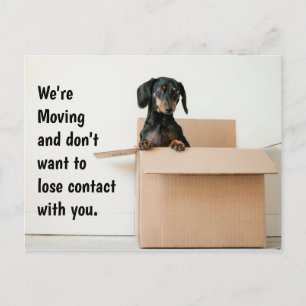 Cute Dachshund Change of Address Briefkaart