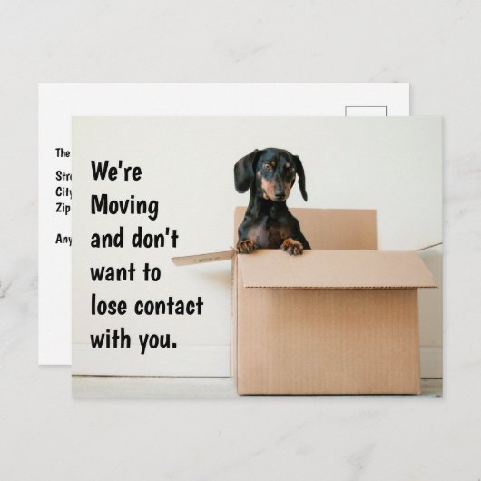Cute Dachshund Change of Address Briefkaart (Voorkant / Achterkant)