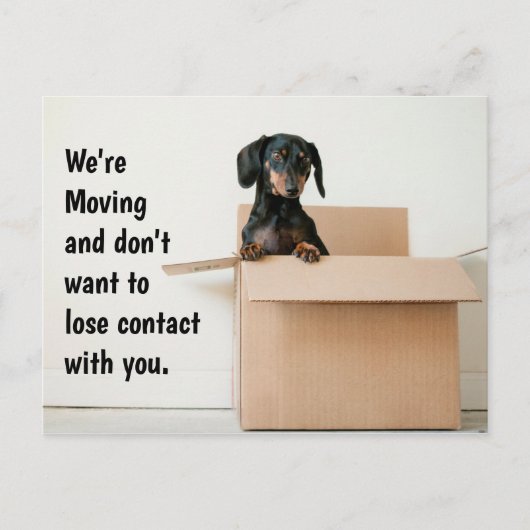 Cute Dachshund Change of Address Briefkaart (Voorkant)