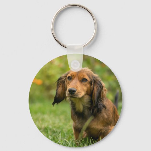 Cute Dachshund dog Sleutelhanger (Voorkant)