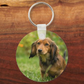Cute Dachshund dog Sleutelhanger (Voorkant)
