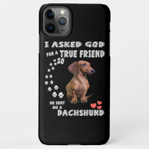 Cute Dachshund Doxie Girl Gifts Dachshund Mama iPhone 11Pro Max Hoesje