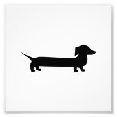 Cute Dachshund Foto Afdruk (Voorkant)